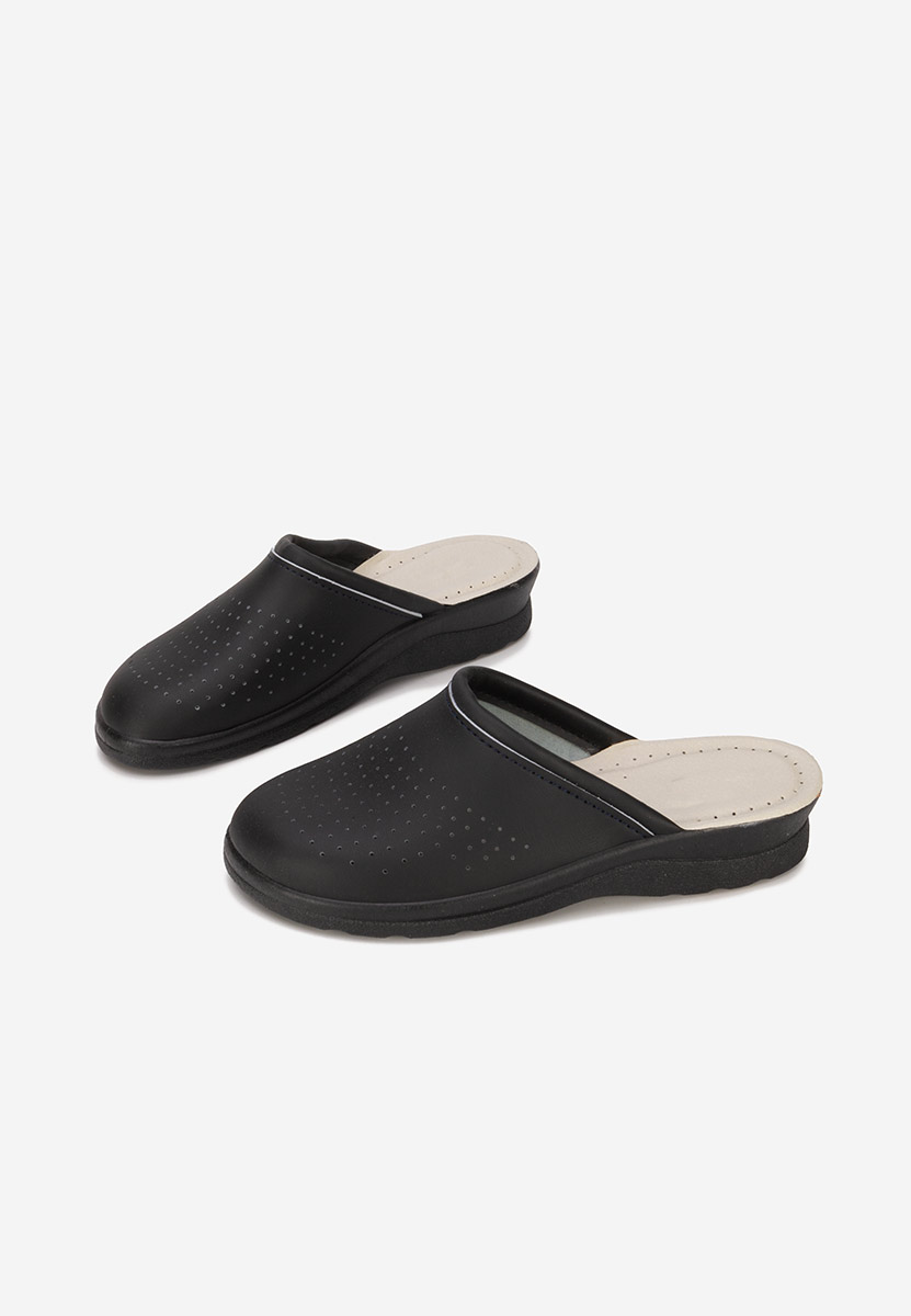 Saboti medicinali Asaria negri