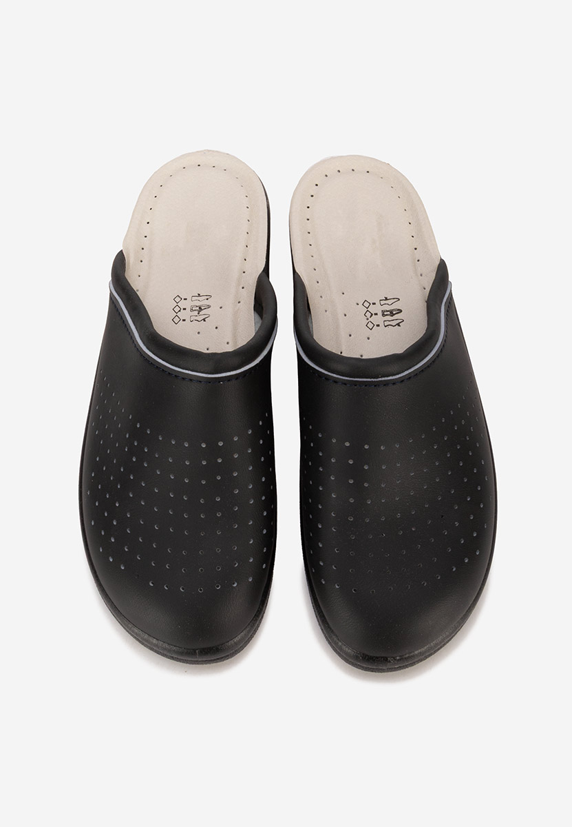 Saboti medicinali Asaria negri